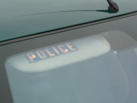POLICE FORMATION